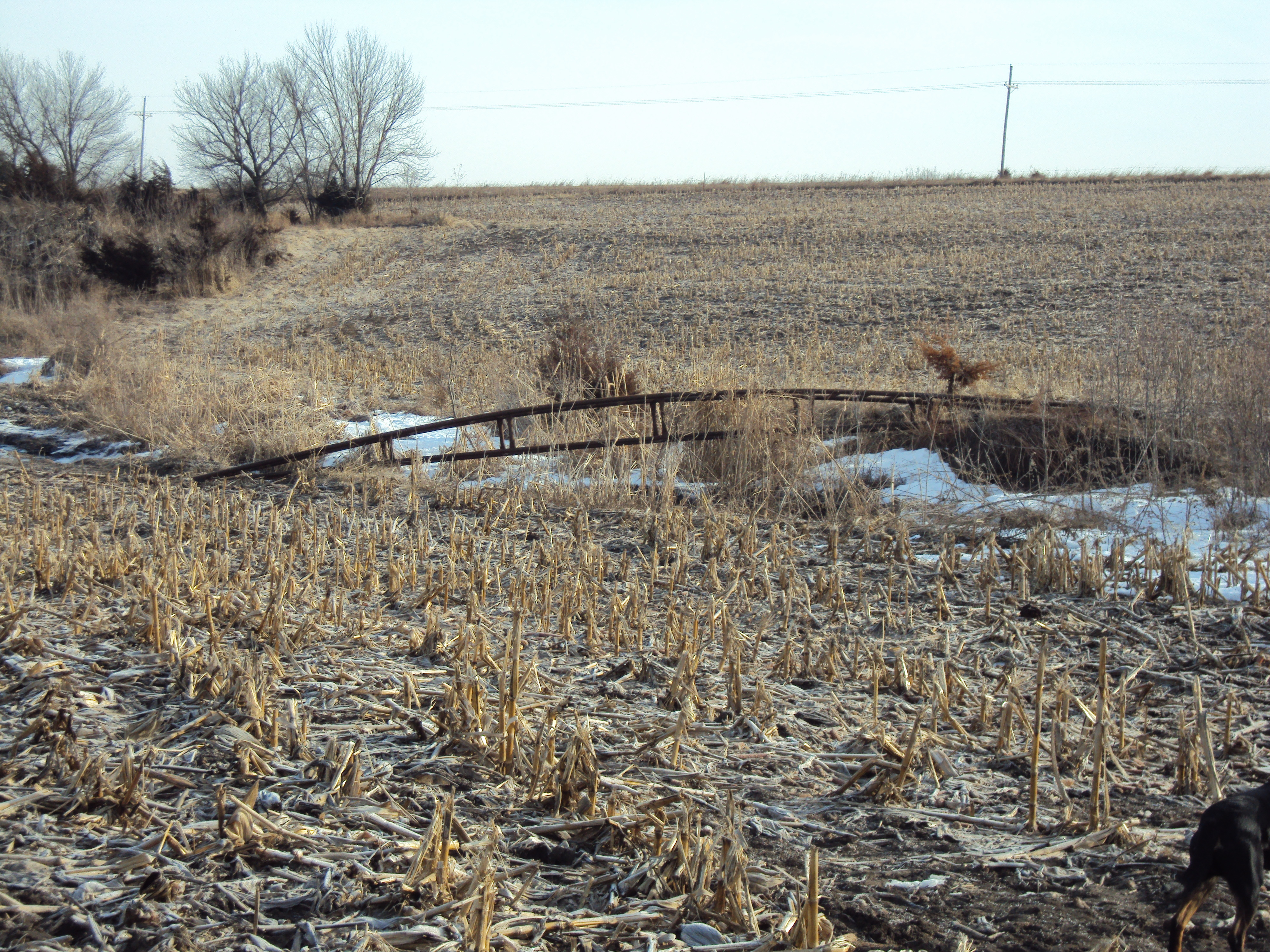 Irrigation pivot bridge